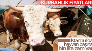 Kurban pazarları hareketlendi: Fahiş fiyat artışı var