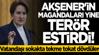 Meral Akşener'e HDP'yi soran vatandaş darp edildi