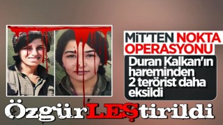 MİT'in Irak'ın kuzeyindeki operasyonunda iki terörist özgürLEŞtirildi...