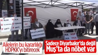 Muş'ta çocukları dağa kaçırılan ailelerden HDP binası önünde eylem