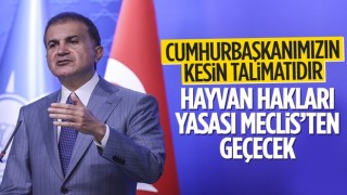 Ömer Çelik: Hayvan hakları yasası Meclis'ten geçecek