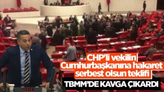 TBMM'de 'Cumhurbaşkanı’na hakaret suçu' tartışması