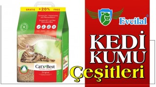 Yaşadığınız Evin İçinde Kedi Kumu Nereye Koyulmalı?