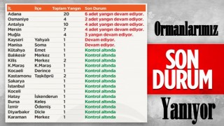 21 ilde çıkan 63 yangının 42'si kontrol altına alındı