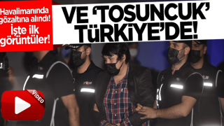 İstanbul'a getirilen 'Tosuncuk' lakaplı Çiftlik Bank kurucusu gözaltına alındı