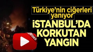 İstanbul'da ormanlık alanda korkutan yangın