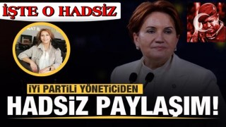 İYİ Partili isimden skandal 'Ömer Halisdemir' paylaşımı! Tepki yağdı