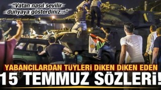 Yabancılardan tüyleri diken diken eden sözler: Vatan nasıl sevilir, dünyaya gösterdiniz...