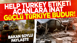 Bakan Soylu rakamı açıkladı! Help Turkey etiketi açanlara inat Güçlü Türkiye budur!