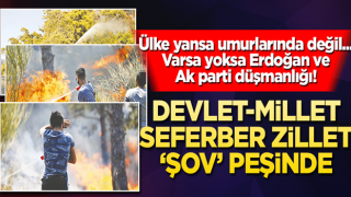 Devlet-millet seferber zillet ‘şov’ peşinde