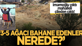 İBB ekrem'in yıktığı park mahalleliyi çileden çıkarttı! '3-5 ağacı bahane edenler nerede?'