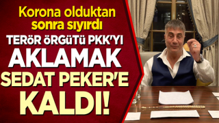 Korona olduktan sonra sıyırdı: Terör örgütü PKK'yı aklamak firari suç örgütü lideri Sedat Peker'e kaldı!