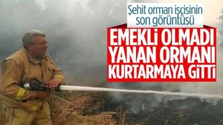 Manavgat'ta can veren orman işçisinin oğlu: Emekli olduğu halde işinden kopamadı