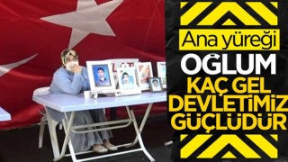 Diyarbakır'da evlat nöbetindeki anne: HDP’nin bir kapısı meclise, diğer kapısı Kandil’e çıkıyor