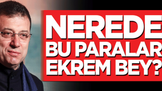 Nerede bu paralar Ekrem bey?