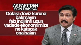 AK Parti'li Cahit Özkan: Faiz indiriminin uzun vadede ne getirdiğine bakmak lazım