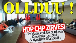 HDP heyeti, Demokrasi Tutum Belgesi’ni CHP'ye sundu