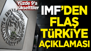 IMF'den flaş Türkiye açıklaması