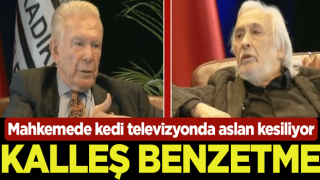 Mahkemede kedi televizyonda aslan kesiliyor! Kalleş benzetme