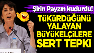 Şirin Payzın kudurdu! Tükürdüğünü yalayan büyükelçilere sert tepki