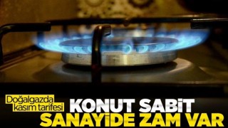 Doğalgazda kasım tarifesinde sanayi ve santrallere zam geldi