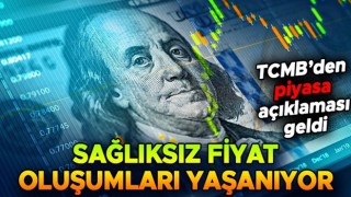 Merkez Bankası’ndan döviz piyasası açıklaması