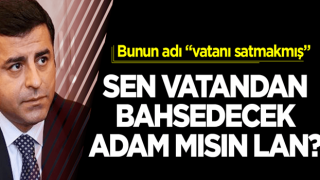 Sen "vatan"dan bahsedecek adam mısın lan?