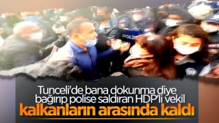 Tunceli'de izinsiz basın açıklaması yapmak isteyen HDP'liler polisle tartıştı