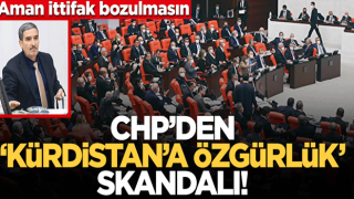 CHP 'Kürdistan'a özgürlük' provokasyona sessiz kaldı!