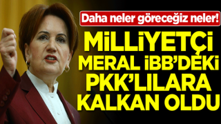 Daha neler göreceğiz neler! Milliyetçi Meral İBB'deki PKK'lılar kalkan oldu