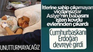 Gaziantep'te pitbull köpeklerin saldırdığı Asiye'nin babası, işinden ve evinden oldu