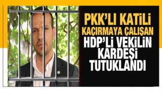 PKK'lı katili kaçırmaya çalışan HDP’li vekilin kardeşi tutuklandı