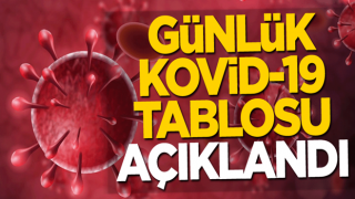 3 Şubat koronavirüs tablosu açıklandı!