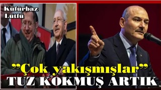 Bakan Soylu: Çok yakışmışlar, tuz kokmuş artık!