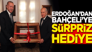 Başkan Erdoğan'dan Bahçeli'ye sürpriz hediye