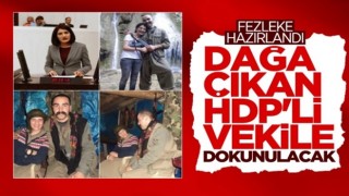 HDP'li Semra Güzel hakkında fezleke hazırlandı