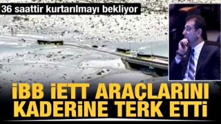 İBB, İETT araçlarını kaderine terk etti! Otobüsler 3 gündür Hadımköy'de