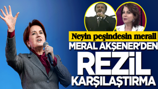 Kimi kafalıyorsun sen? Meral Akşener'den iğrenç karşılaştırma