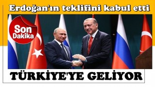 Son dakika: Putin Erdoğan'ın teklifini kabul etti: Türkiye'ye geliyor