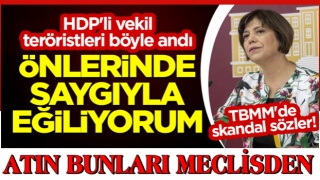 TBMM'de skandal sözler! HDP'li vekil teröristleri böyle andı: Önlerinde saygıyla eğiliyorum