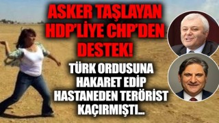 Türk ordusuna 'militarist grup' deyip polise taş atan HDP'li Tuğluk'a CHP özgürlük istedi