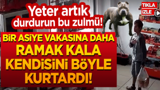 Yeter artık, durdurun bu zulmü! Bir Asiye Ateş vakasına daha ramak kala kendisini böyle kurtardı!