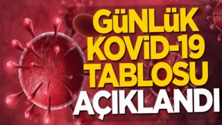 Koronavirüste son tablo açıklandı! Vaka sayısı eridikçe eriyor