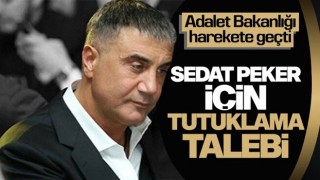 Adalet Bakanlığı’ndan Sedat Peker için tutuklama talebi