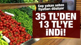 Cep yakan sebze fiyatları geriledi: Salatalık 35 TL'den 13 TL'ye düştü