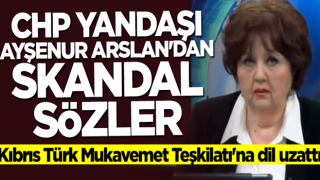 Halk TV sunucusu Ayşenur Arslan'dan skandal sözler!