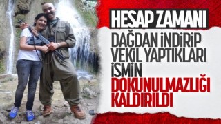 HDP'li Semra Güzel'in dokunulmazlığı kaldırıldı