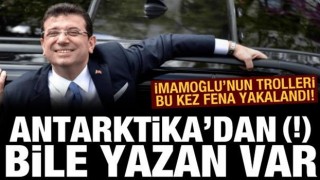 İBB'nin trolleri fena yakalandı! Antarktika'dan bile yazan var(!)