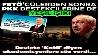 Kılıçdaroğlu FETÖ'cülerden sonra şimdi de PKK destekçisi akademisyenlere 'Göreve iade' sözü verdi!