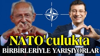 NATO’culukta yarışıyorlar